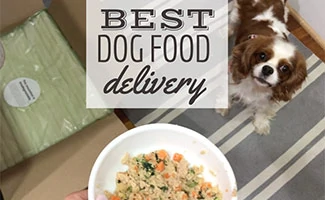 Bowl of fresh dog food with dog and box (caption: Best Dog Food Delivery)