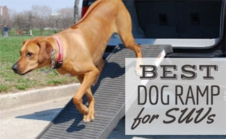 diy dog ramp for suv