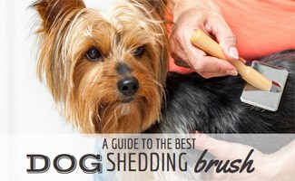 deshedding your dog