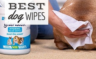 Dog's butt being wiped (caption: Best Dog Wipes)