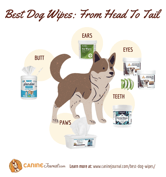 Best Dog Wipes