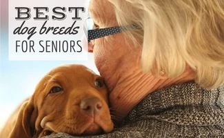 Senior woman with dog resting on shoulder (Caption: Best Dog Breeds For Seniors)