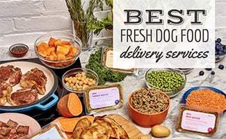 Ollie dog food beside fresh ingredients (caption: Best Fresh Dog Food Delivery Services)