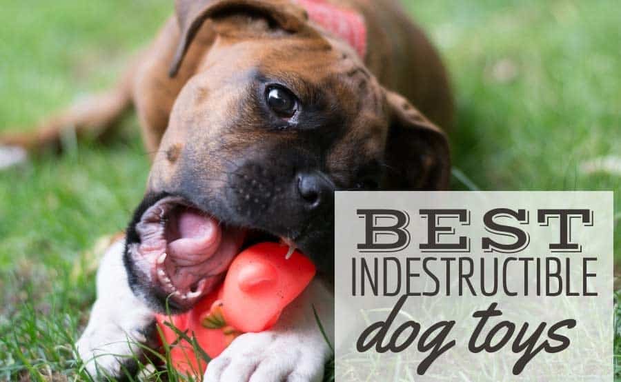 indestructible toys