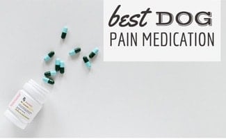 best over the counter pain reliever for dogs