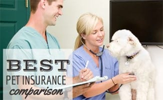 Pet Insurance Comparison Charts (2022): Compare Quotes, Plans, Coverage, Waiting Periods & More