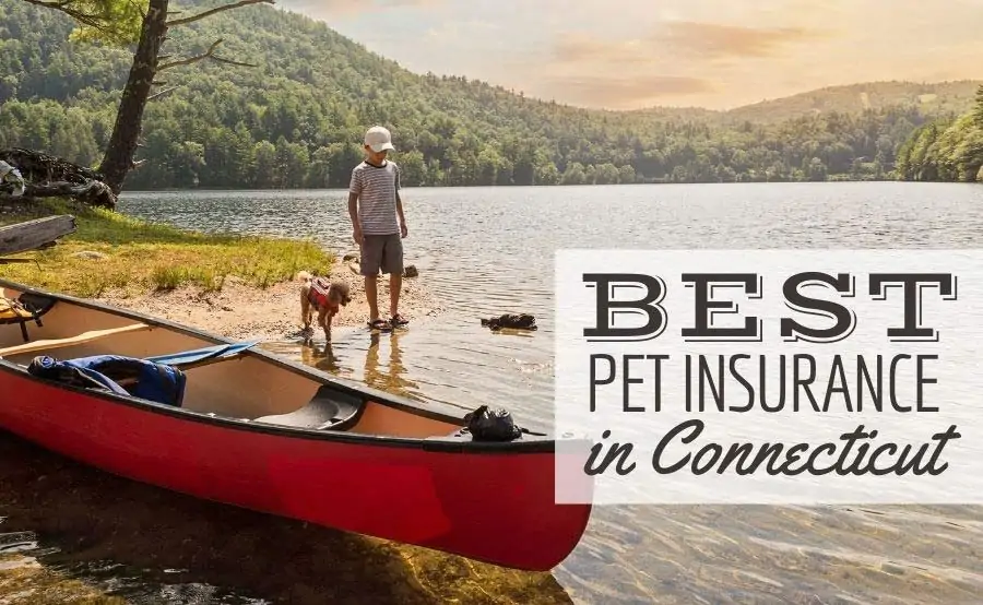 a child and his pet dog playing on the shore of a lake after canoeing during a beautiful, summer sunset (Caption: Best Pet Insurance In Connecticut)