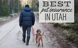 Man walking dog on hiking trail (Caption: Best Pet Insurance In Utah)