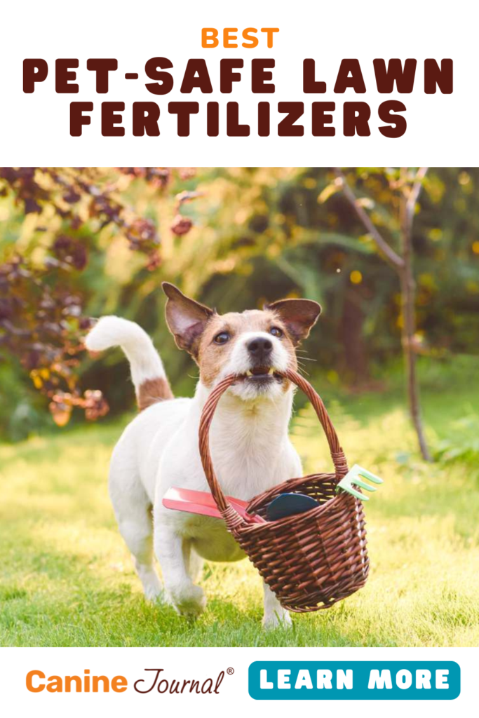 Best pet safe lawn fertilizers.
