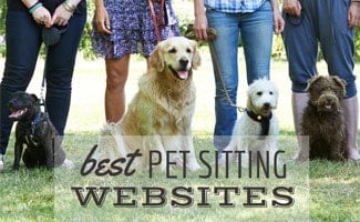 People standing with dogs (caption: Best Pet Sitting Websites)