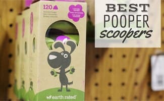 Pooper scoopers on display (image in text: Best Pooper Scoopers)