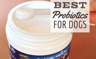 Open probiotic container with measuring spoon (caption: Best Probiotic for dogs)