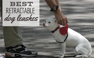 retractable dog lead for large dogs