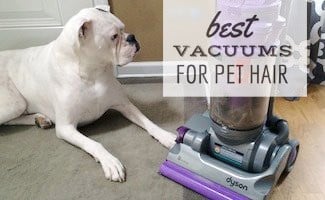 Dog sitting next to vacuum