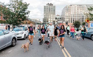 People and dogs marching for Bipawtisan March