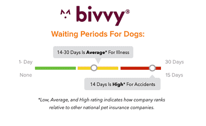 Bivvy Pet Insurance waiting periods