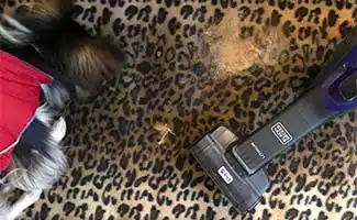Black+Decker Lithium Pet Hand Vacuum with dirt and dog in action