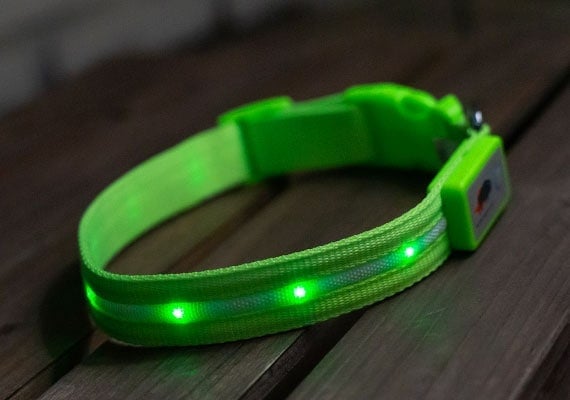 Blazin' Safety Light Up LED dog collar