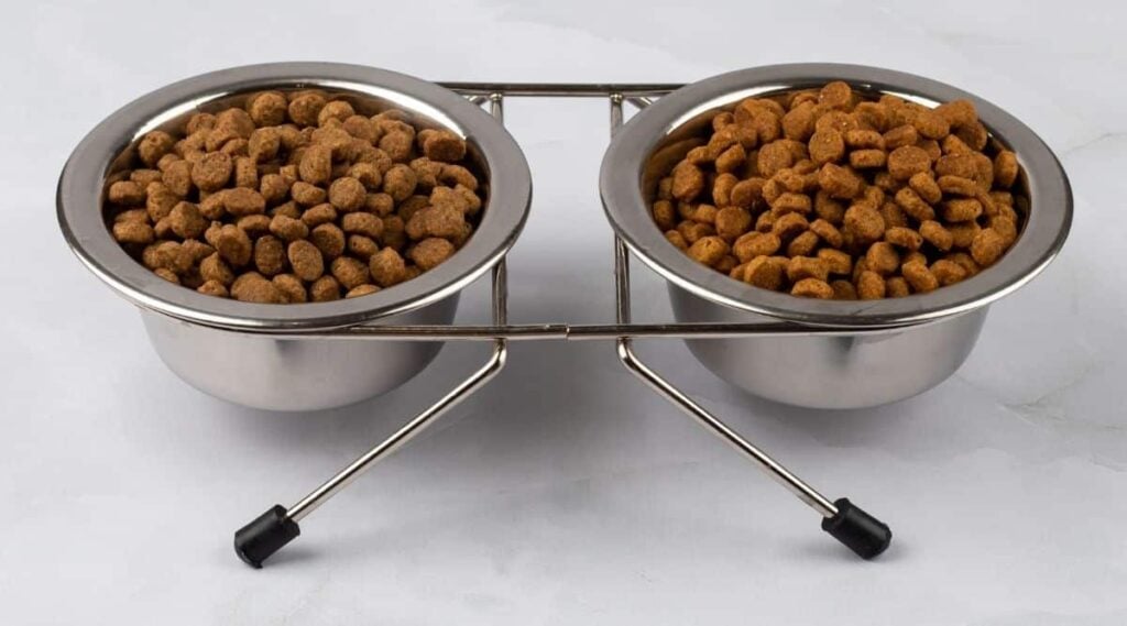 2 bowls of Blue Buffalo dog food