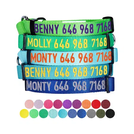 Blueberry Pet Essentials Personalized Martingale Collars