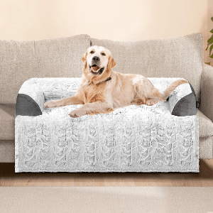 Blunique Calming Couch Bed