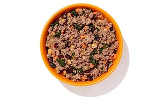 Bowl of Ollie dog food