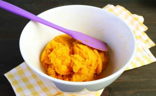 View of Pumpkin Puree For Dogs: The Magic Scoop That Can Solve Gut Problems Fast