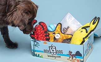 barkbox alternative
