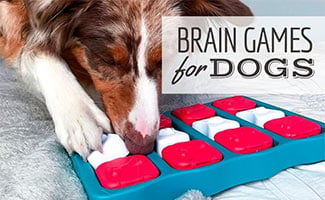 Dog playing with puzzle (caption: Brain Games For Dogs)