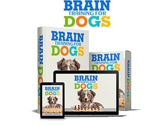 Brain Training For Dogs Courses