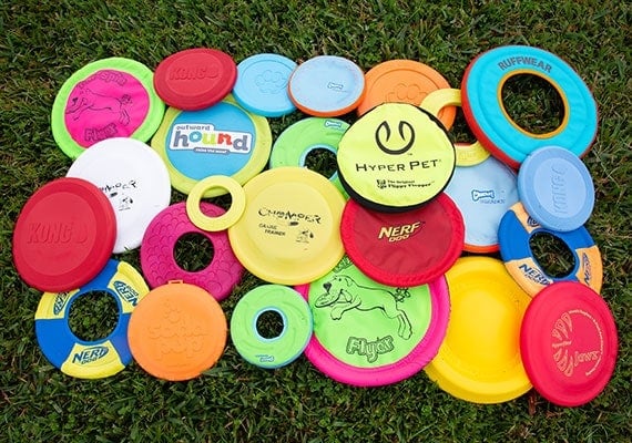 Brand new dog frisbee discs ready to be tested and reviewed