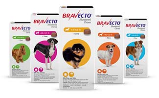 Bravecto Flea And Tick