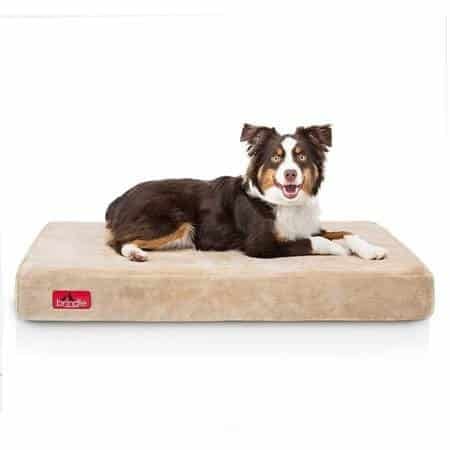 Brindle Waterproof Designer Memory Foam