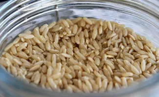 Brown Rice