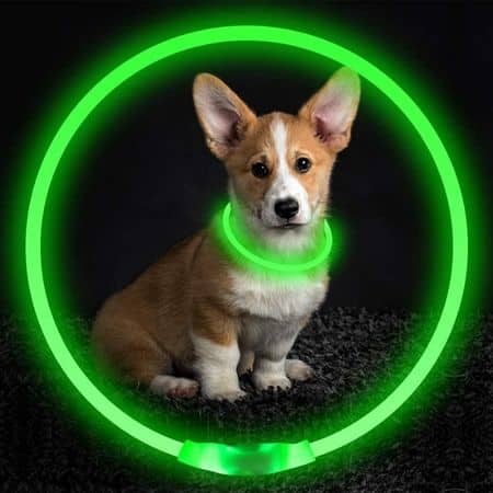 BSEEN LED Dog Collar 