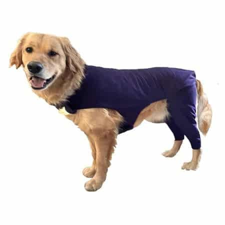 Buckwheat Dog Hind Leg Sleeve