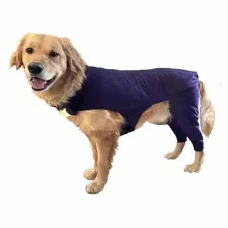 Best Dog Cone Alternatives Inflatable Soft E Collars