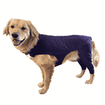 Buckwheat Dog Hind Leg Sleeve