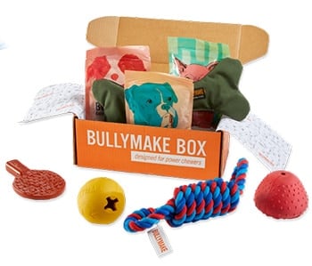 Bullymake Box.