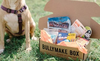 monthly pet subscription boxes