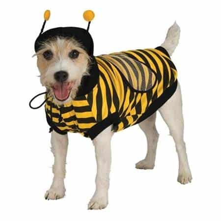 Bumble Bee Dog Costume