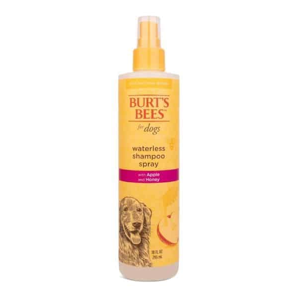 burts bees dog dry shampoo jpg