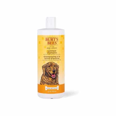 Burt's Bees For Dogs Natural Oatmeal Shampoo