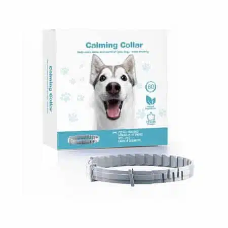 Anxious dog? No worries! 💜 We have the perfect solution for you