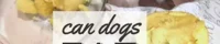 Dog in kitchen cooking potatoes (Caption: Can Dogs Eat Potatoes?)