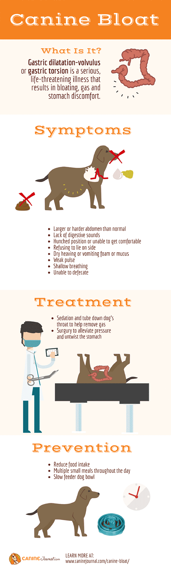 What Is Bloat Gdv?