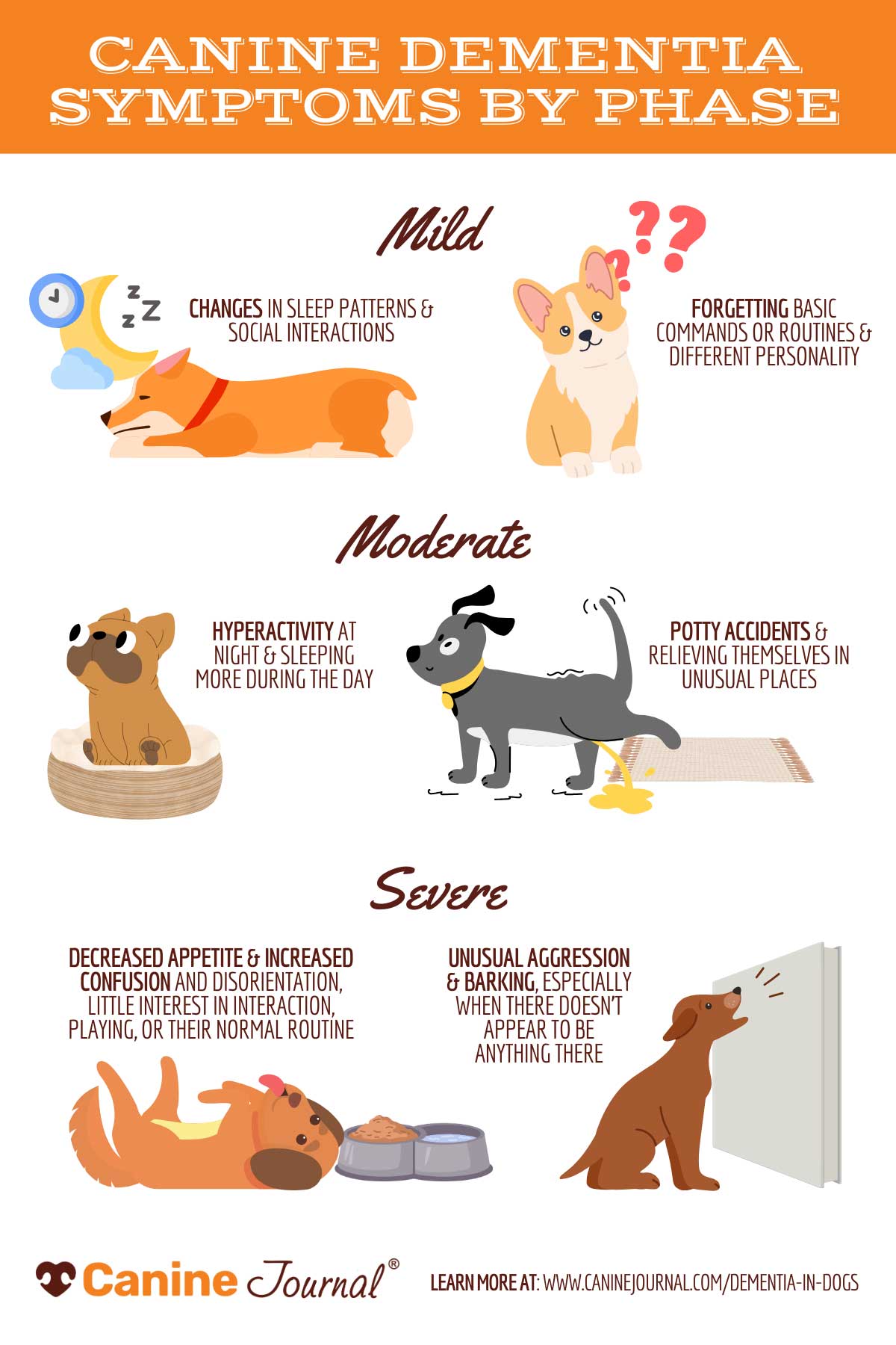 does gabapentin help dementia in dogs