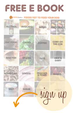 Canine Journal E-Book Signup