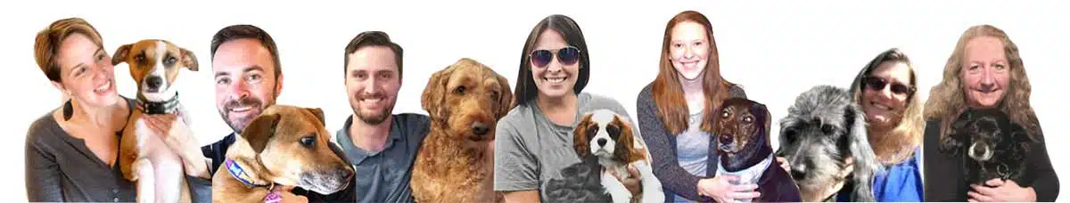 canine journal team with dogs 2023 jpg