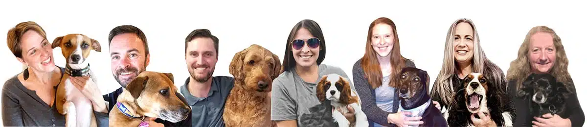 Canine Journal Team With Dogs